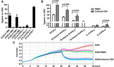 Improving the ex vivo expansion of human tumor-reactive CD8 + T cells by targeting toll-like receptors